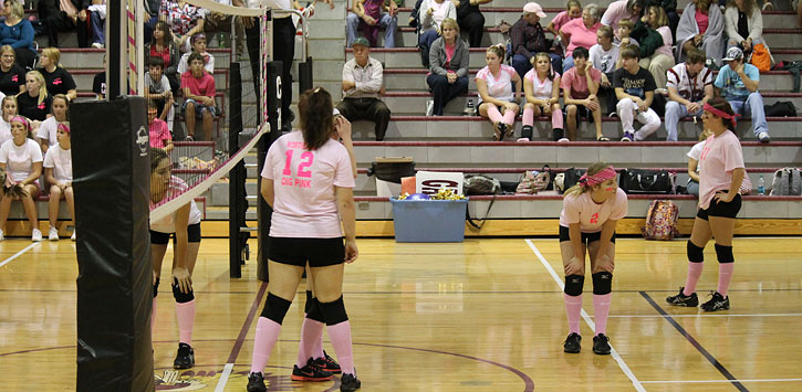 Dig-Pink-039.jpg