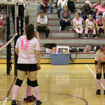 Dig-Pink-039.jpg