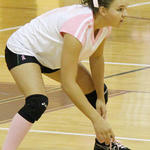 Dig-Pink-040.jpg