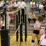 Dig-Pink-042.jpg