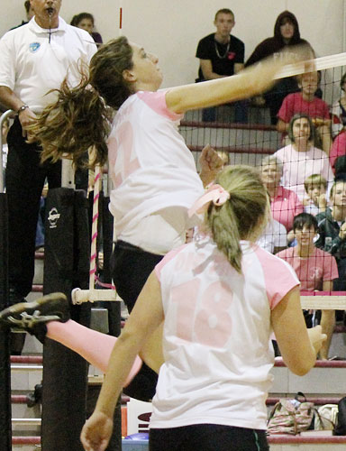 Dig-Pink-043.jpg