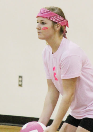 Dig-Pink-050.jpg