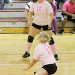Dig-Pink-053.jpg