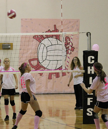 Dig-Pink-064.jpg