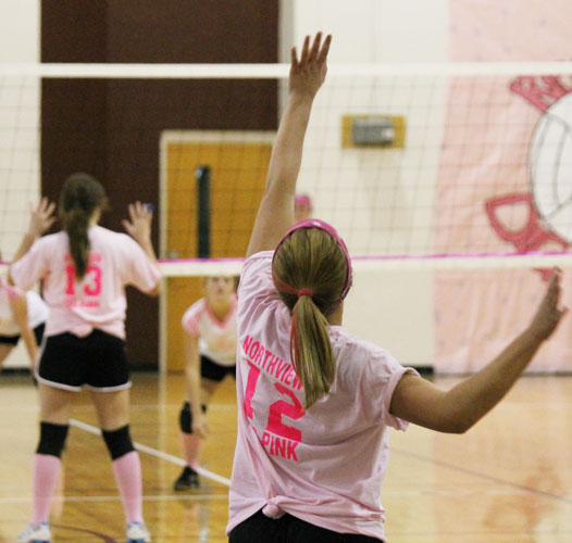 Dig-Pink-066.jpg