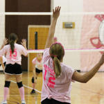 Dig-Pink-066.jpg