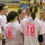 Dig-Pink-068.jpg