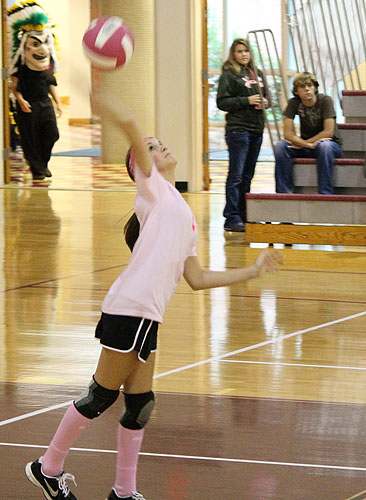 Dig-Pink-076.jpg