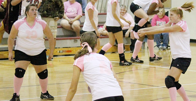 Dig-Pink-077.jpg