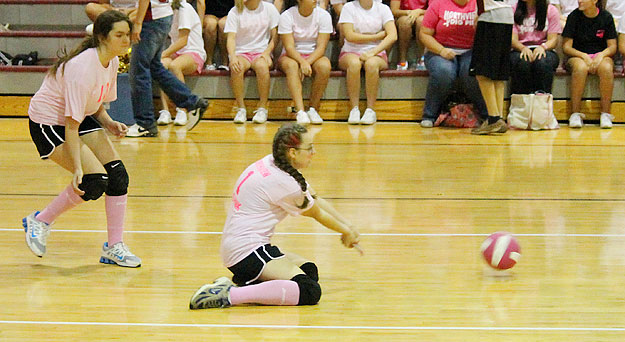 Dig-Pink-078.jpg