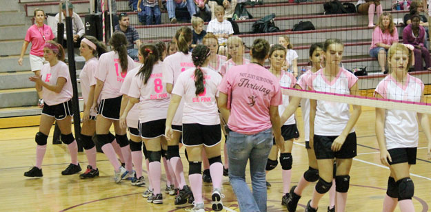 Dig-Pink-079.jpg