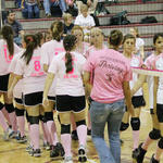 Dig-Pink-079.jpg