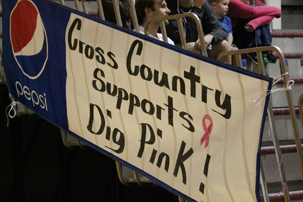 Dig-Pink-099.jpg