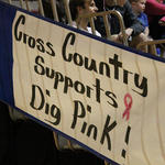 Dig-Pink-099.jpg