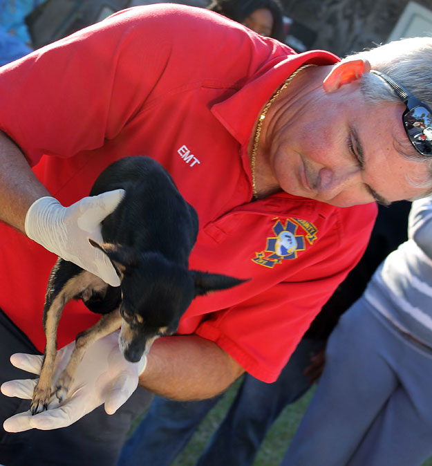 Fire-Puppy-CPR-018.jpg