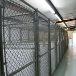 Atmore-Animal-Shelter-048.jpg