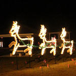 Century-Park-Lights-026.jpg