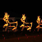 Century-Park-Lights-041.jpg
