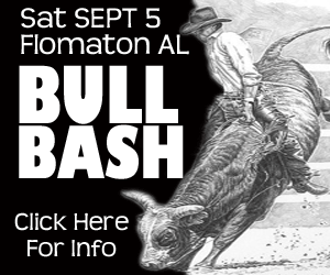 Bull Bash