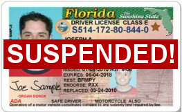 check if license is suspended fl
