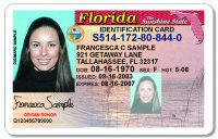 drivers license check pinellas county