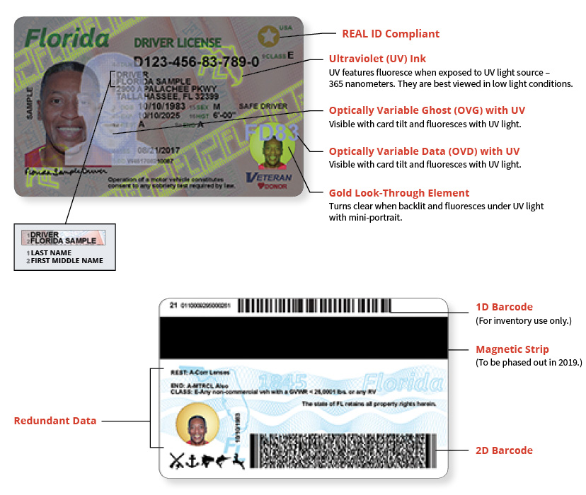 drivers license check mailing status fl