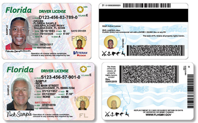 dmv check drivers license florida