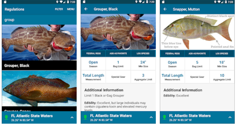 Check Fishing Regulations, ID Your Fish With New FWC App