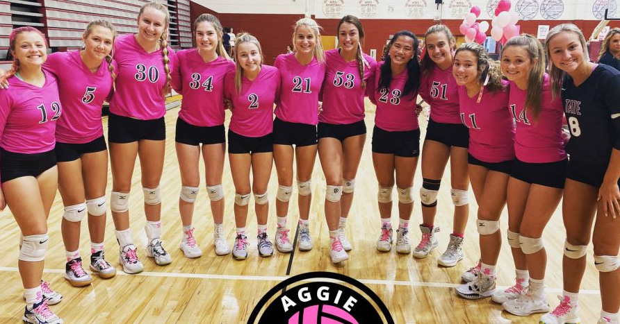 Caseville Volleyball hosts breast cancer awareness night Thursday