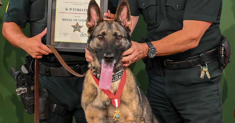 A Very Good Boy: ECSO K-9 Streeter Awarded Medal Of Courage For Jumping Off Bridge After Suspect
