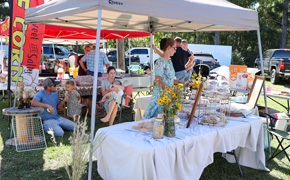 Walnut Hill Heritage Festival Celebrates The Community’s History (With Photo Gallery)