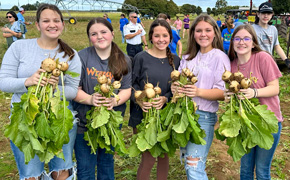 Farm-City: Volunteers Harvest Thanksgiving Dinner For 1,000 Needy Families (With Gallery)