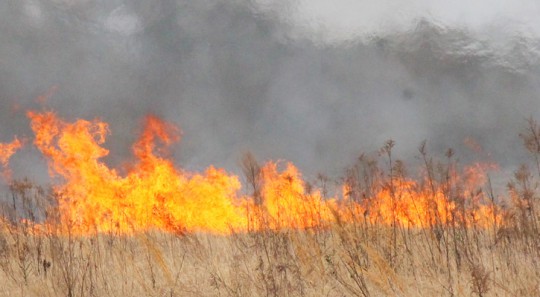 Santa Rosa County Burn Ban Allowed To Expire : NorthEscambia.com