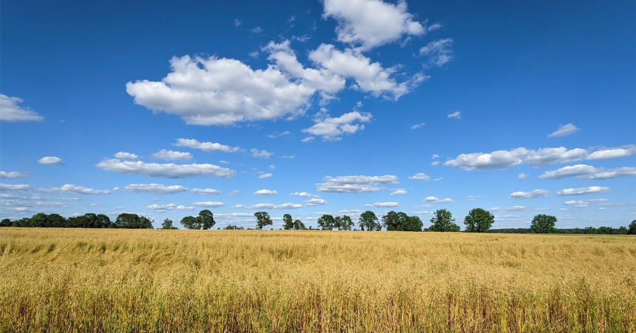 Picture Perfect Weekend: Sunny Skies, Highs In The 80s : NorthEscambia.com