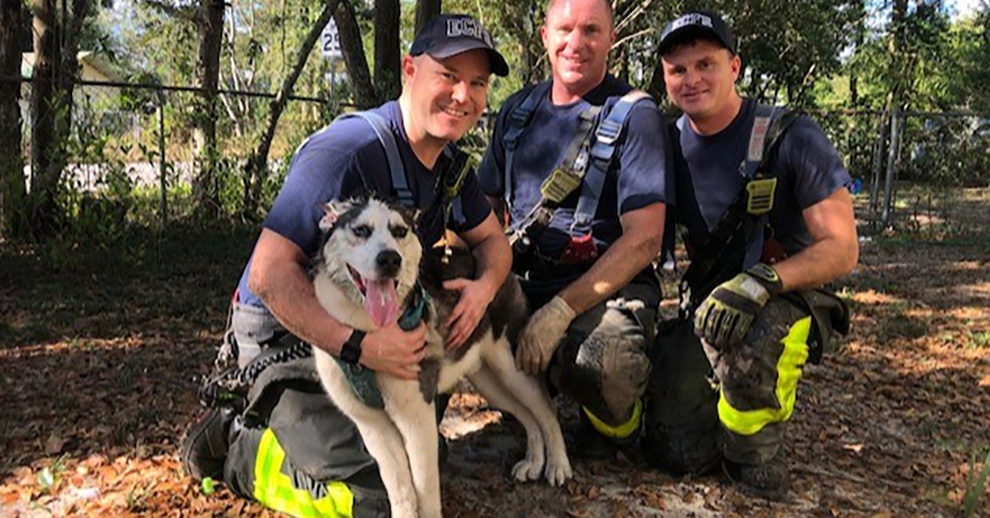 Escambia Firefighters Rescue Dog Stuck In Cinder Block : NorthEscambia.com